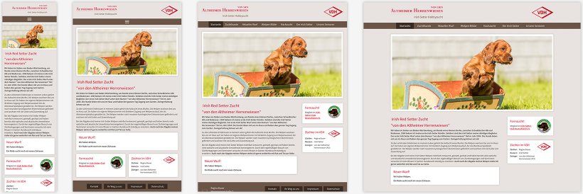 Webdesign von Irish Setter Bauer