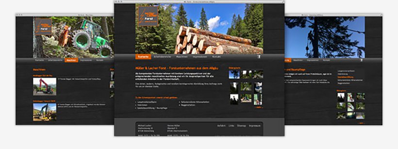 Webdesign von Müller Forst