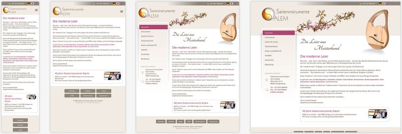 Webdesign von Saiteninstrumente Salem