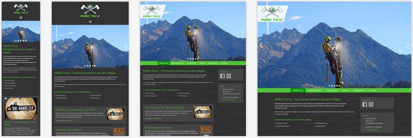 Webdesign von Müller Forst