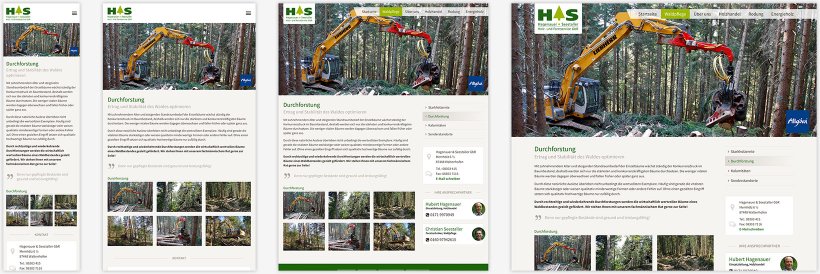 Webdesign von Hagenauer & Seestaller