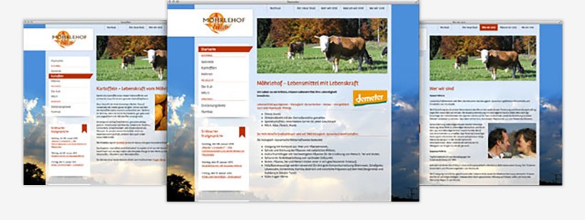 Webdesign von Möhrlehof