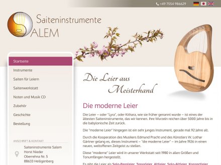 Webdesign von Saiteninstrumente Salem