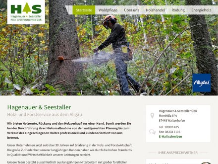 Webdesign von Hagenauer & Seestaller