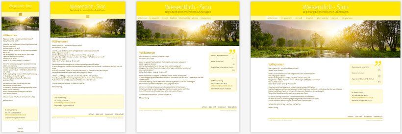 Webdesign von Wesentlich Sinn