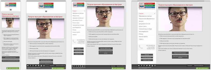 Webdesign von European Education Systems